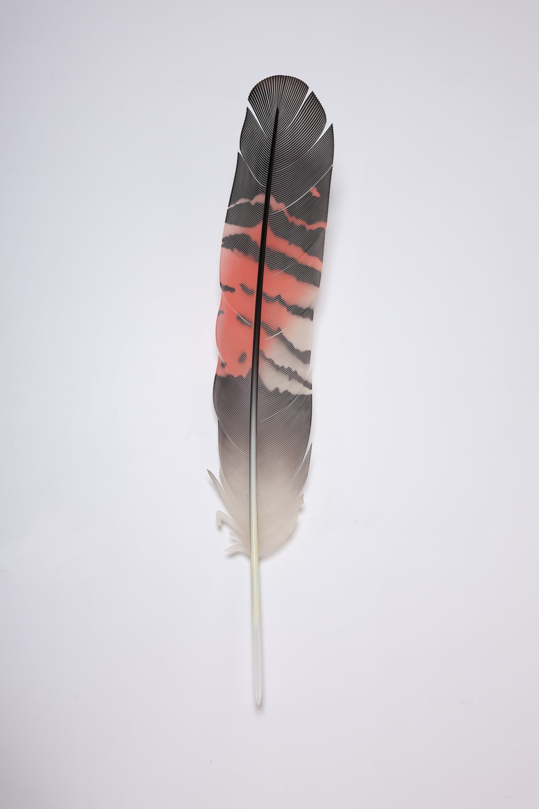 Neil Dawson, Vanity Suite. 1., 2022