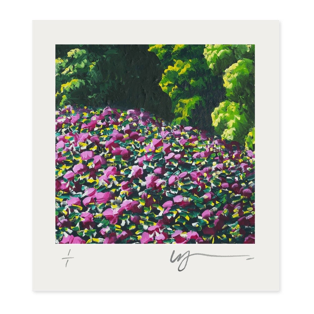 Karl Maughan, Joy of Colour #91