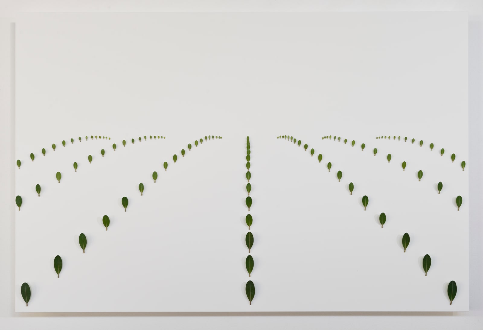 Elizabeth Thomson, Topographical Study for the Aviatrix 1, 2015