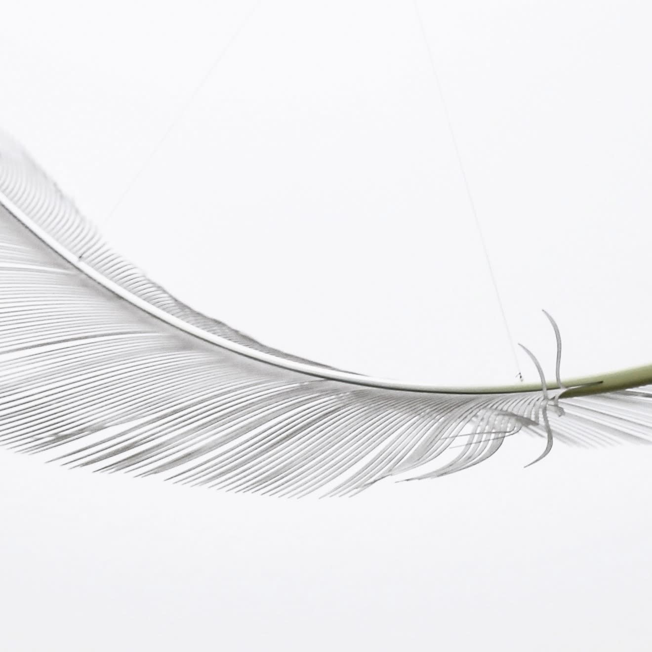 Neil Dawson, Vanity Suite. 11., 2022