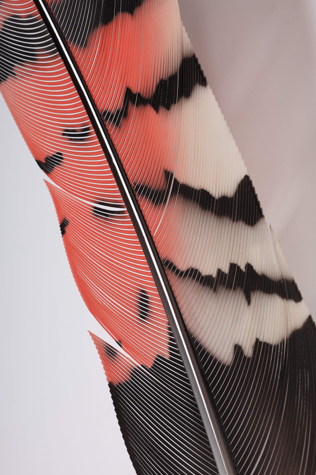 Neil Dawson, Vanity Suite. 1., 2022