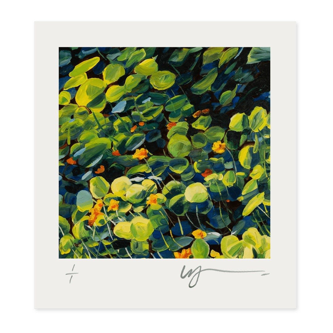 Karl Maughan, Joy of Colour #62