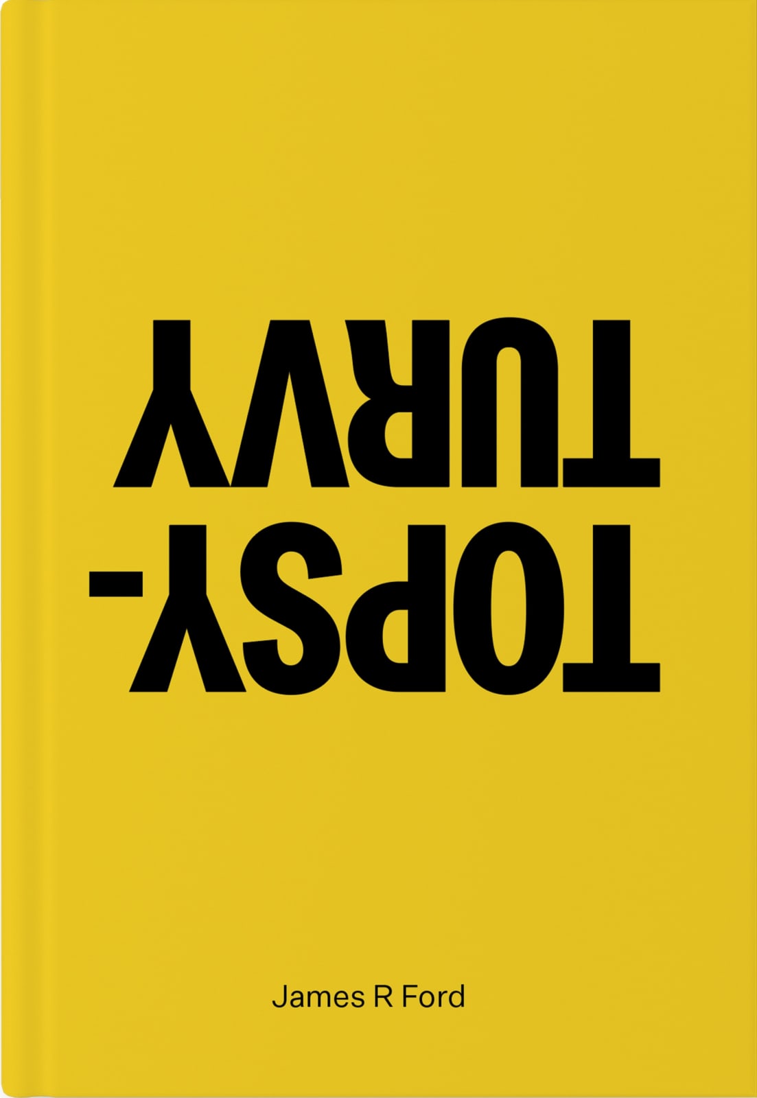 James R. Ford, Topsy-Turvy, 2025