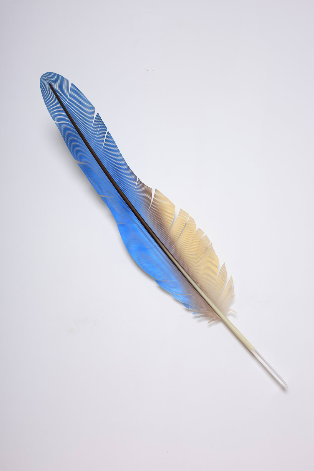 Neil Dawson, Vanity Suite. 8., 2022