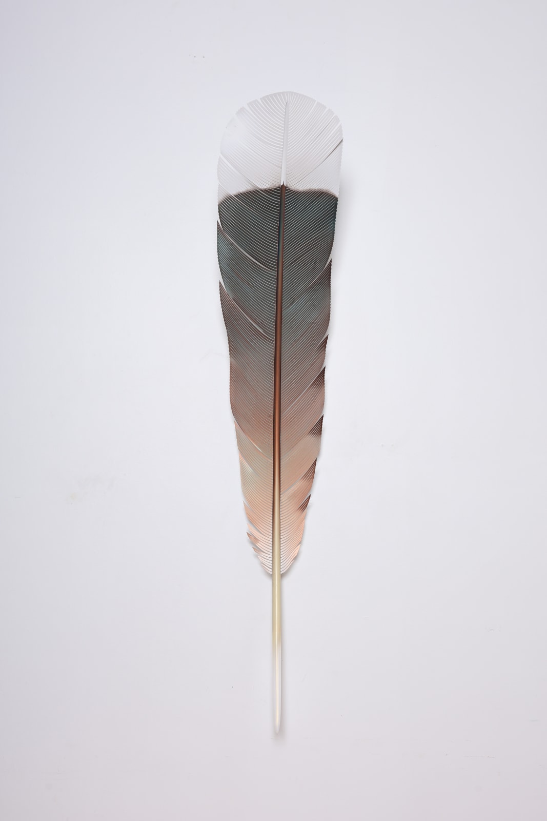 Neil Dawson, Vanity Suite. 5., 2025