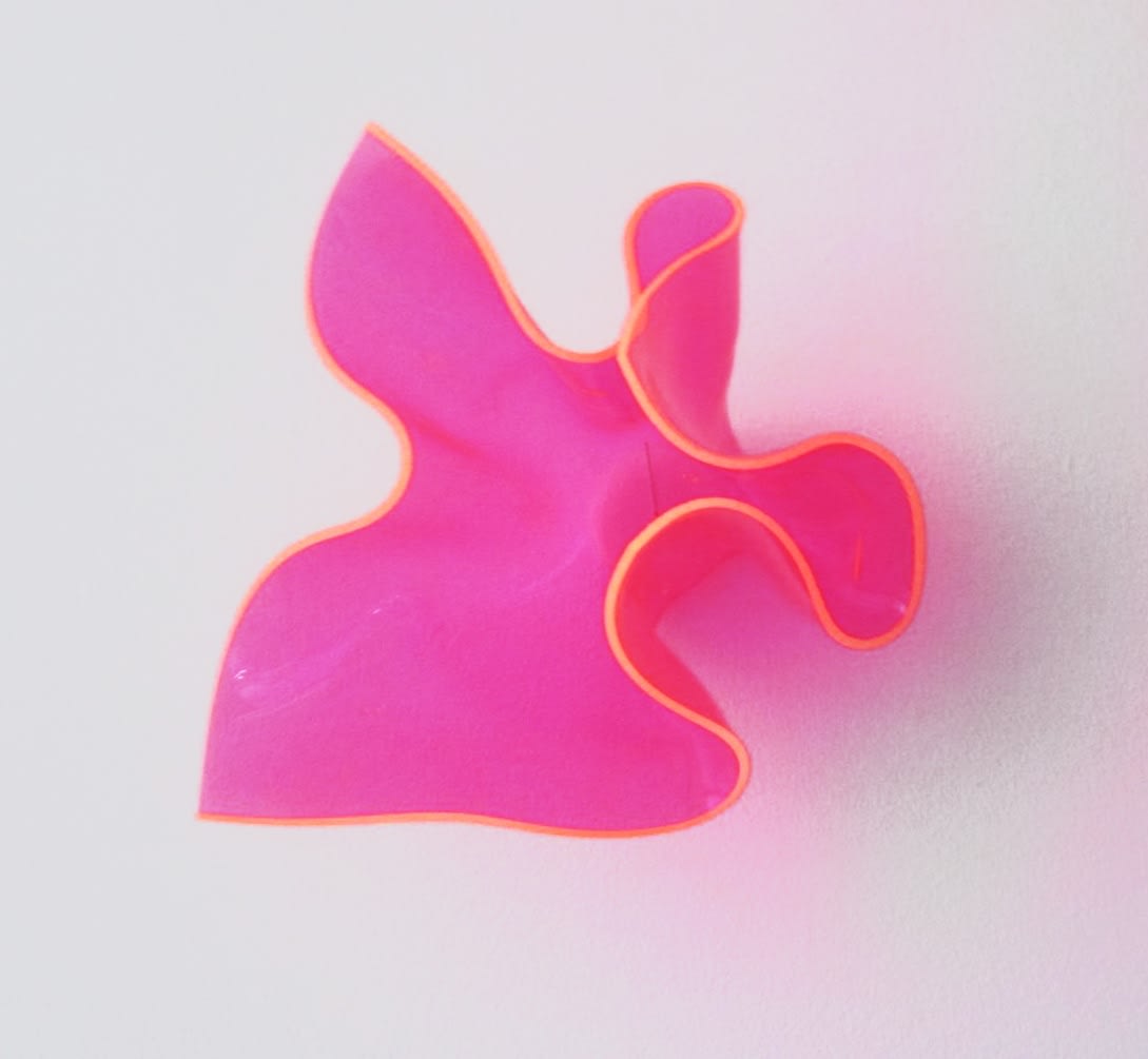 Judy Darragh, Laser Bloom