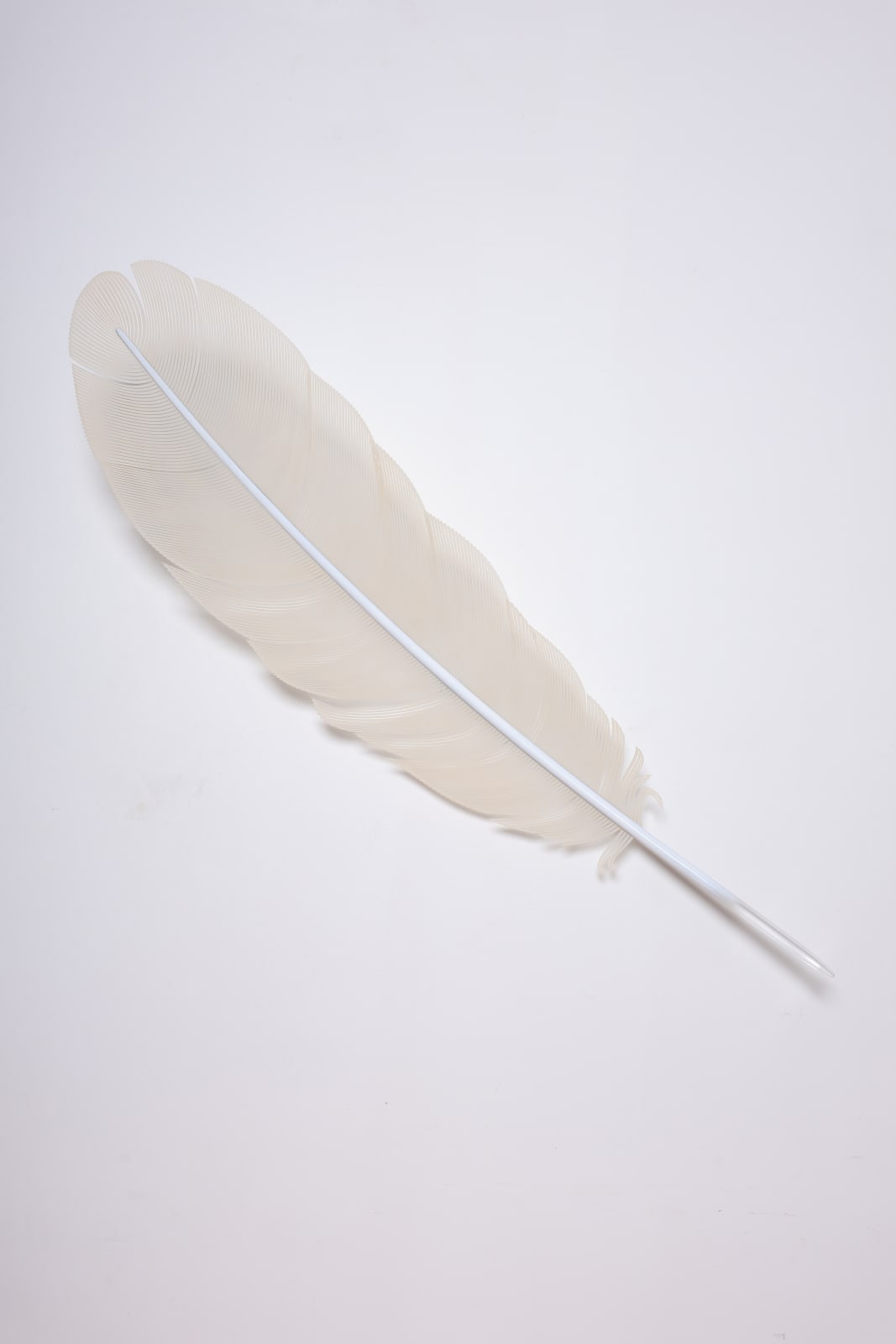 Neil Dawson, Vanity Suite. 2., 2022