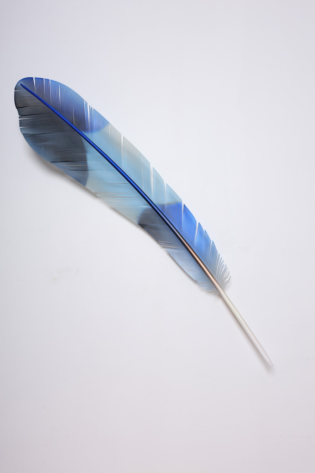 Neil Dawson, Vanity Suite. 4., 2025