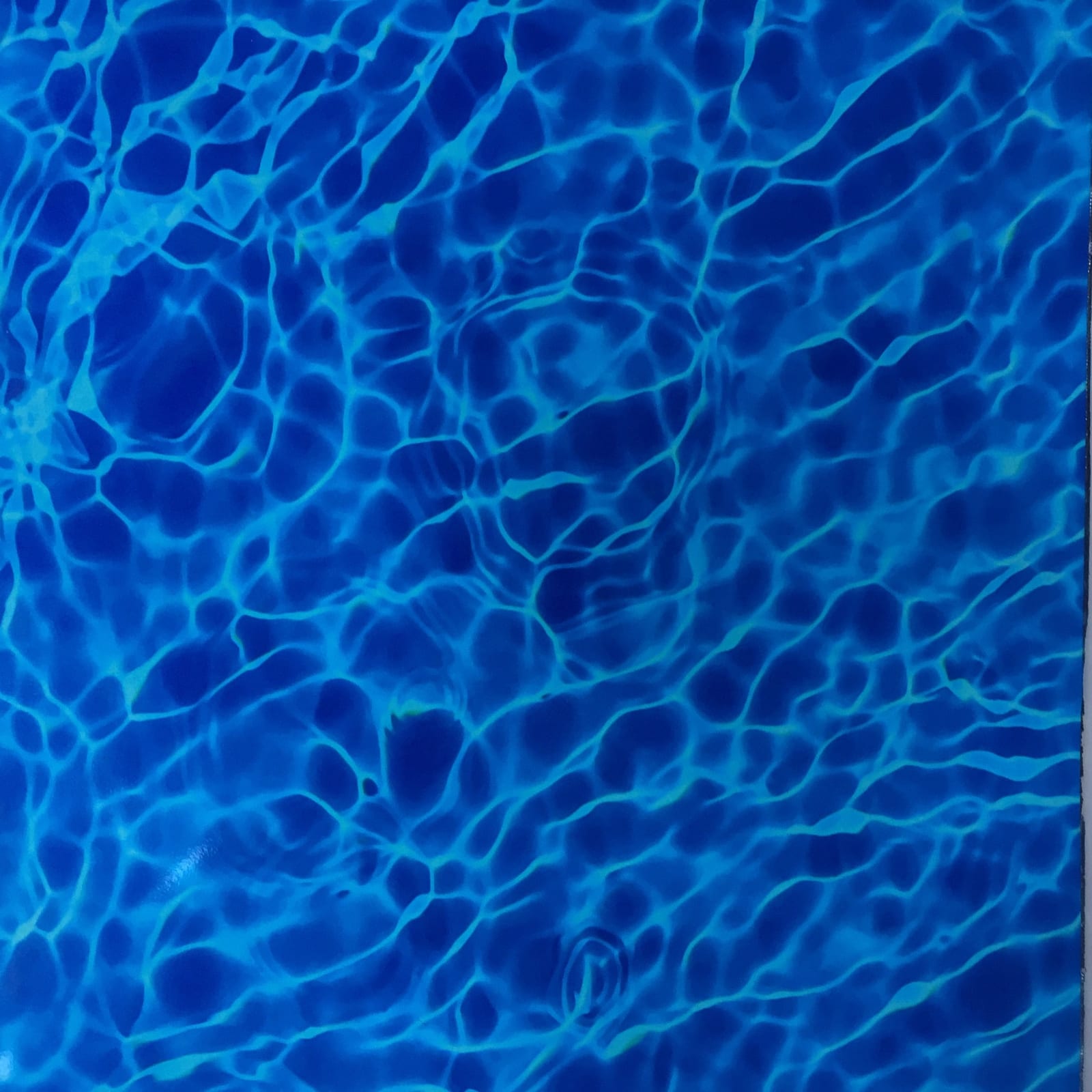 Elizabeth Thomson, Between Memory and Oblivion XXIV, 2017