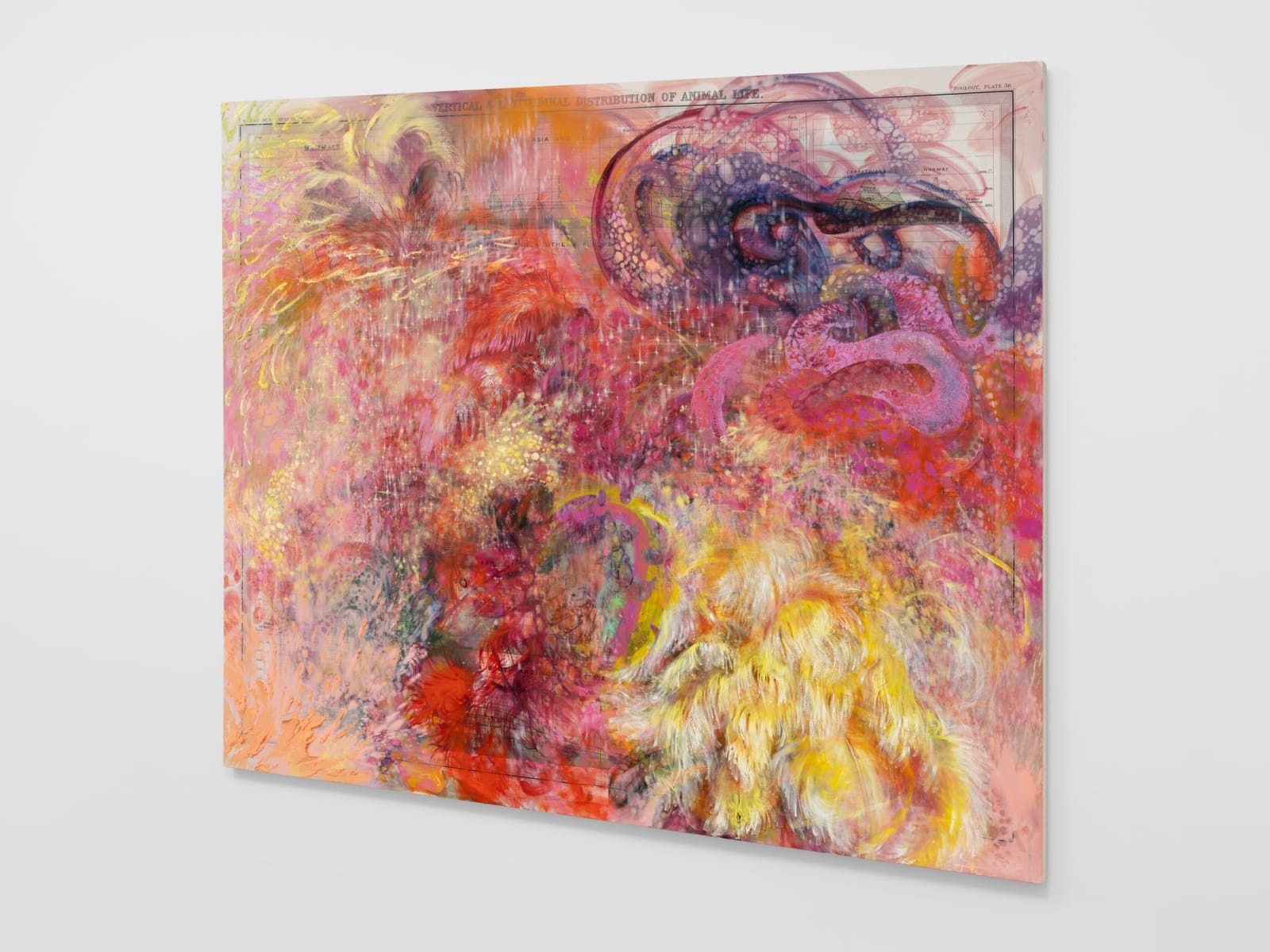 FIRELEI BÁEZ, Untitled (Plate 36. Vertical and Latitudinal Distribution of Animal Life), 2022