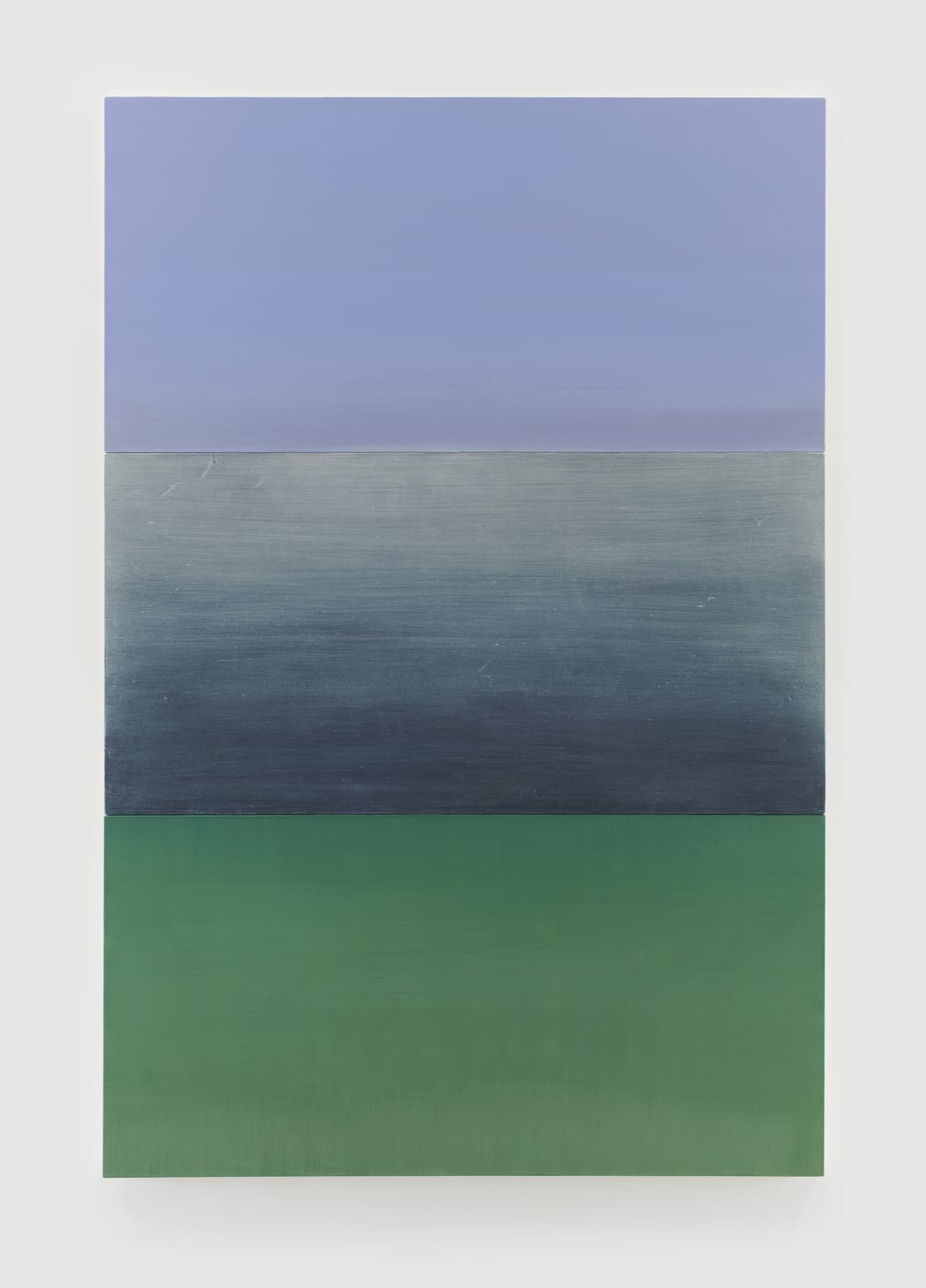 BYRON KIM, B.Q.O. 21 (Triakis semifasciata), 2021