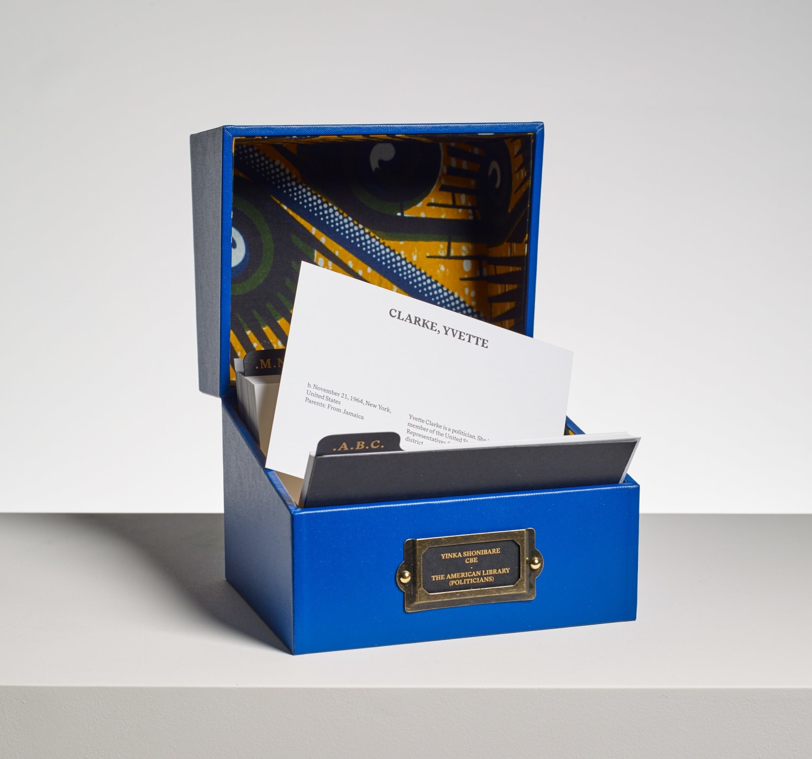 YINKA SHONIBARE, The American Library Collection (Public Health), 2021