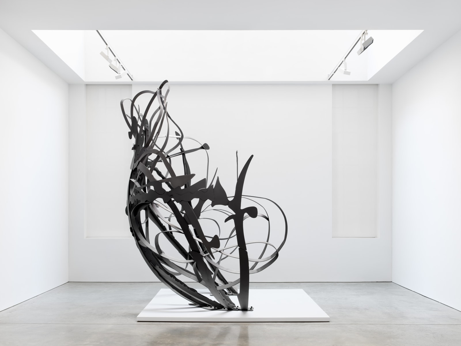 MATTHEW RITCHIE, Shadow Drawing, 2022