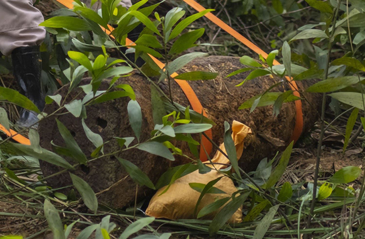 TUAN ANDREW NGUYEN, Unexploded Ordnance, 16in. 50 caliber, Sông Ngân hamlet, Linh Thượng Village, Gio Linh district, Quảng Trị January 14, 2021, 2022