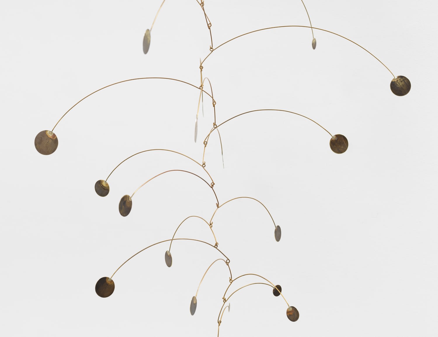TUAN ANDREW NGUYEN, Palm, 2022