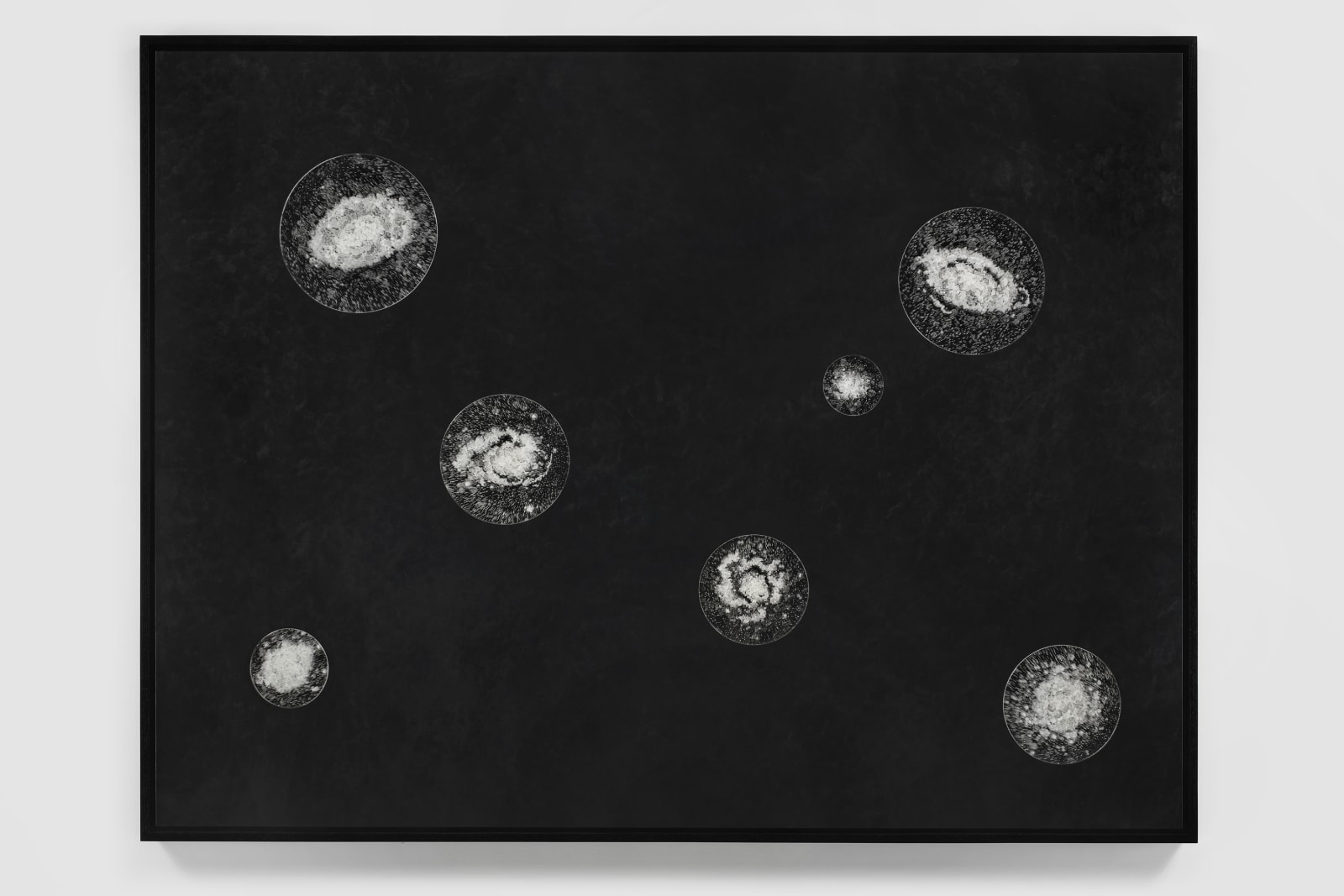 JOSIAH MCELHENY, Seven Observations for June Tyson, 2019