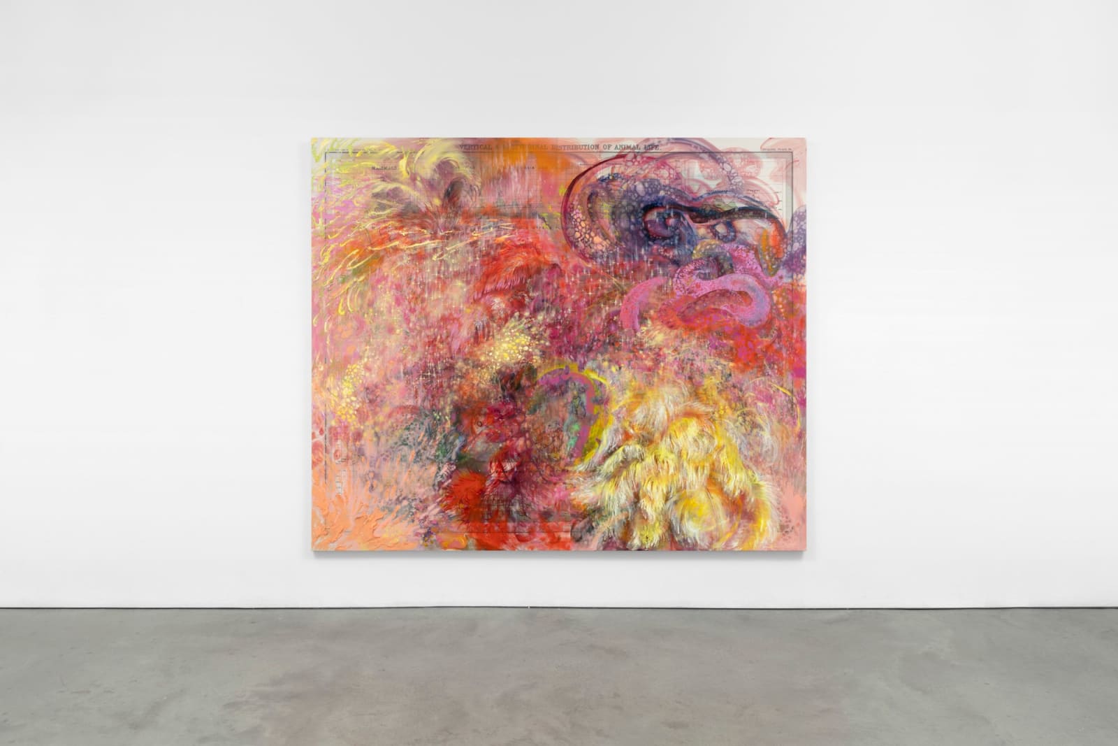 FIRELEI BÁEZ, Untitled (Plate 36. Vertical and Latitudinal Distribution of Animal Life), 2022