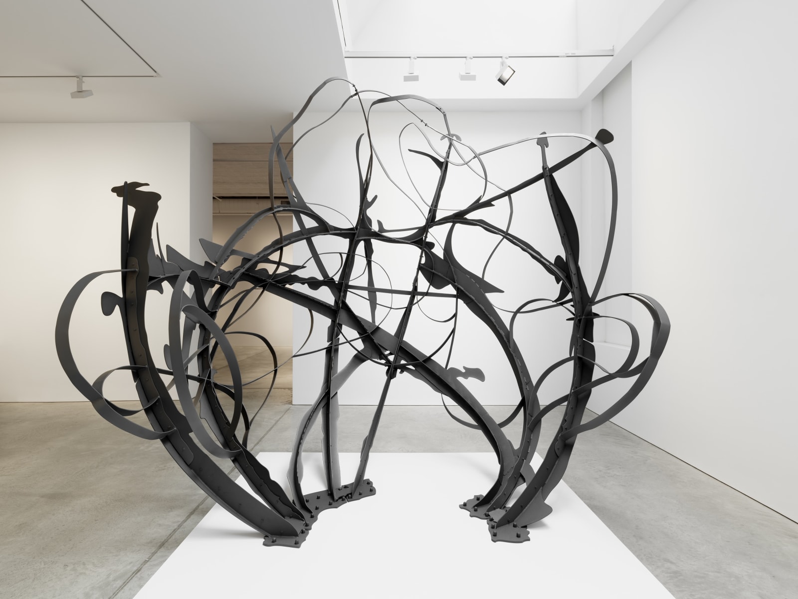 MATTHEW RITCHIE, Shadow Drawing, 2022