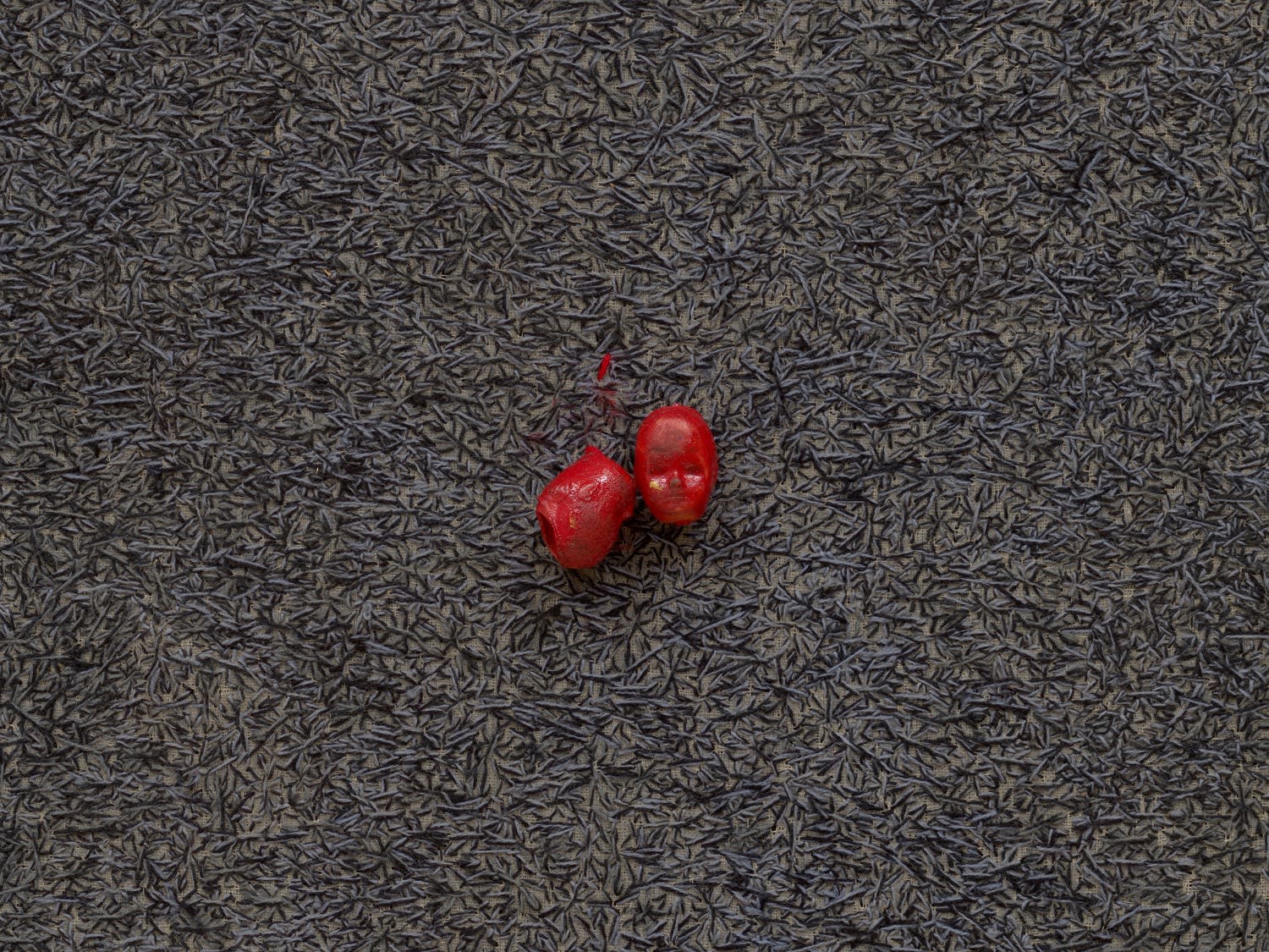 ELIAS SIME, Ants & Ceramicists 3, 2009