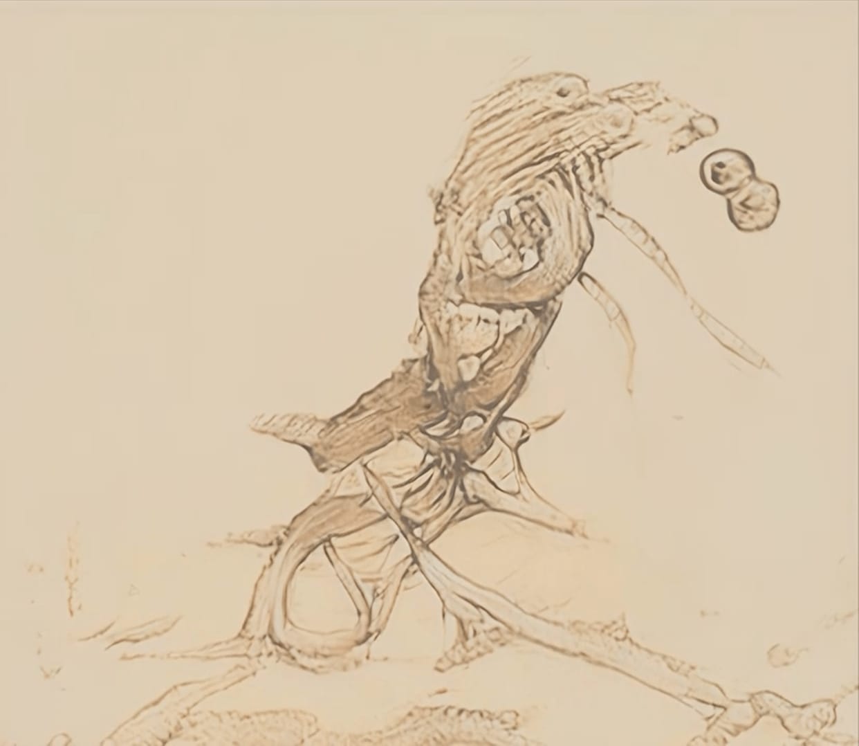 MATTHEW RITCHIE, Caudex, 2022