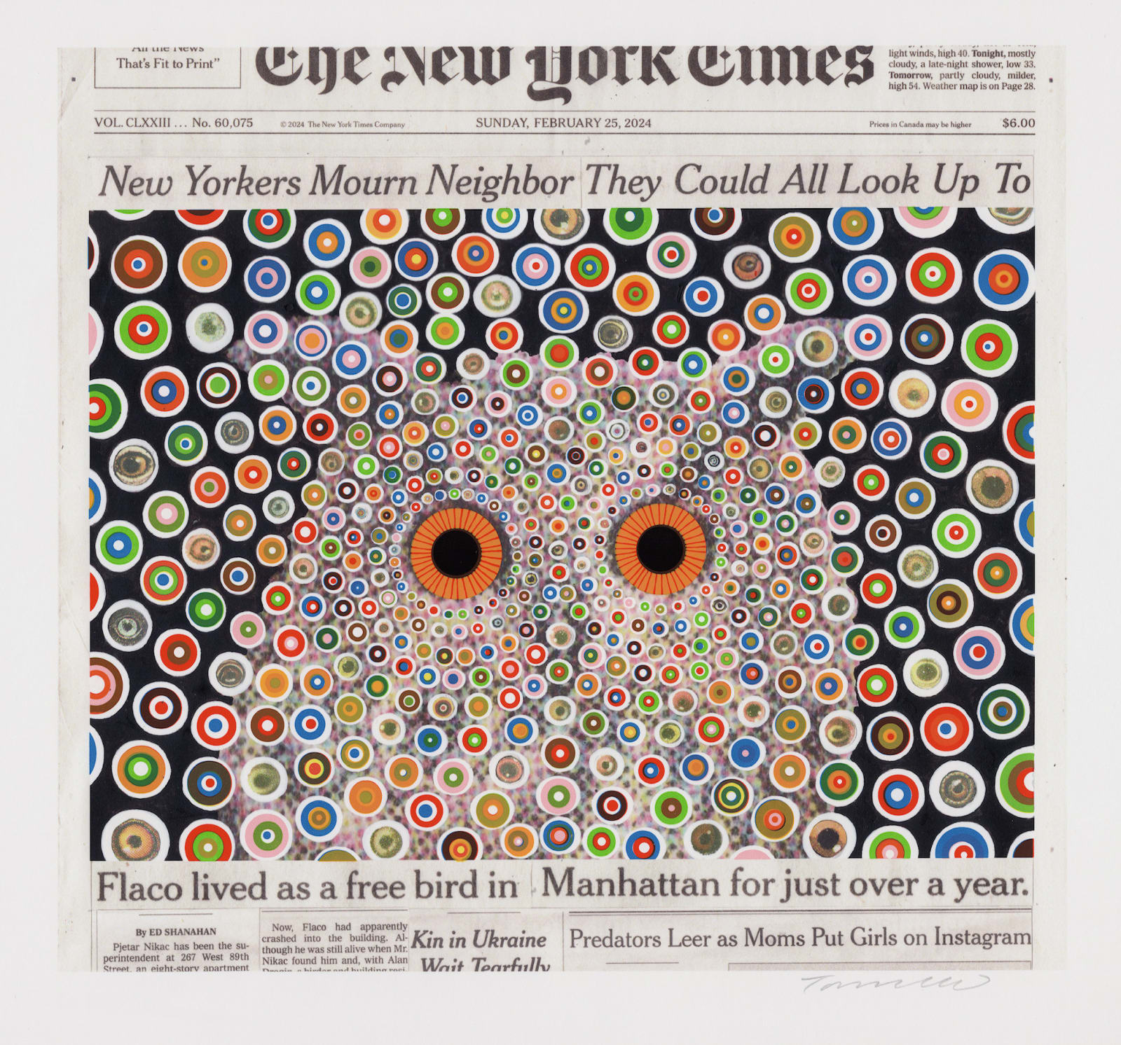 FRED TOMASELLI, Flaco, February 25, 2024, 2024
