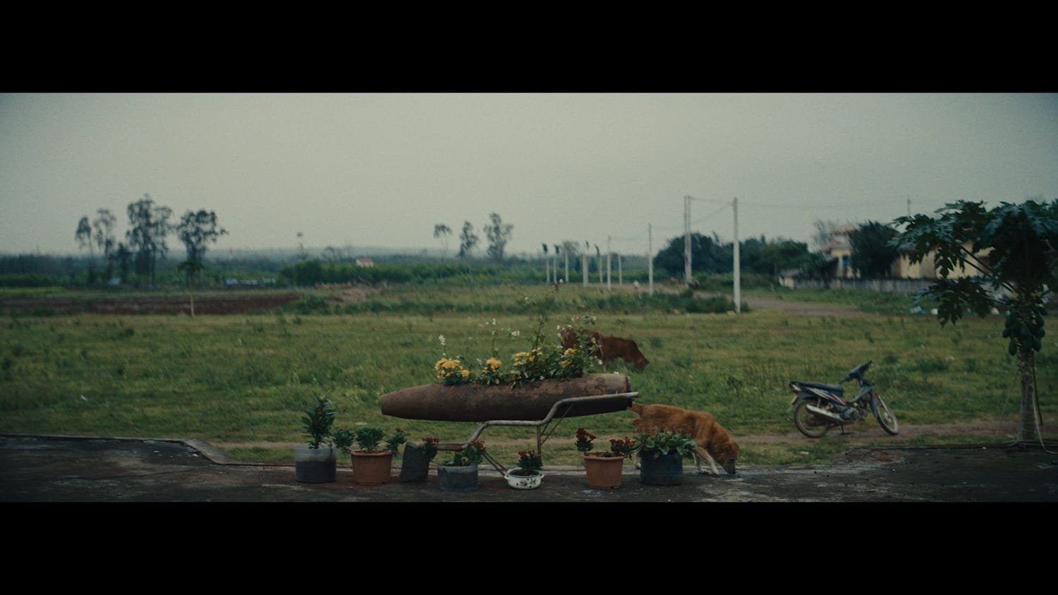 TUAN ANDREW NGUYEN, The Unburied Sounds of a Troubled Horizon, 2022