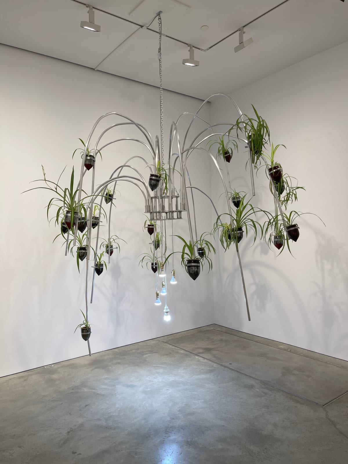 JEFFREY MERIS, Catch A Stick of Fire, 2021