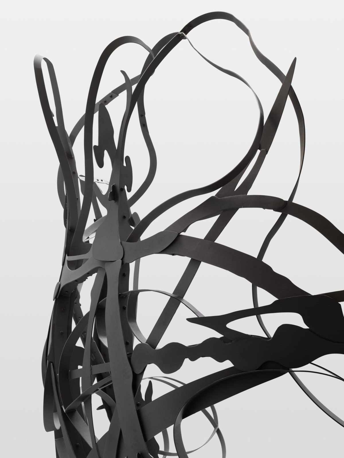 MATTHEW RITCHIE, Shadow Drawing, 2022