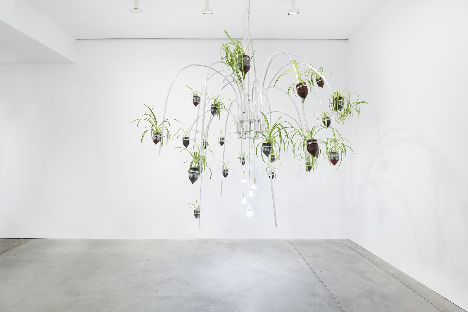 JEFFREY MERIS, Catch A Stick of Fire, 2021