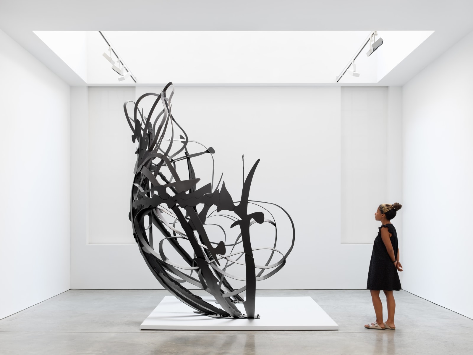 MATTHEW RITCHIE, Shadow Drawing, 2022