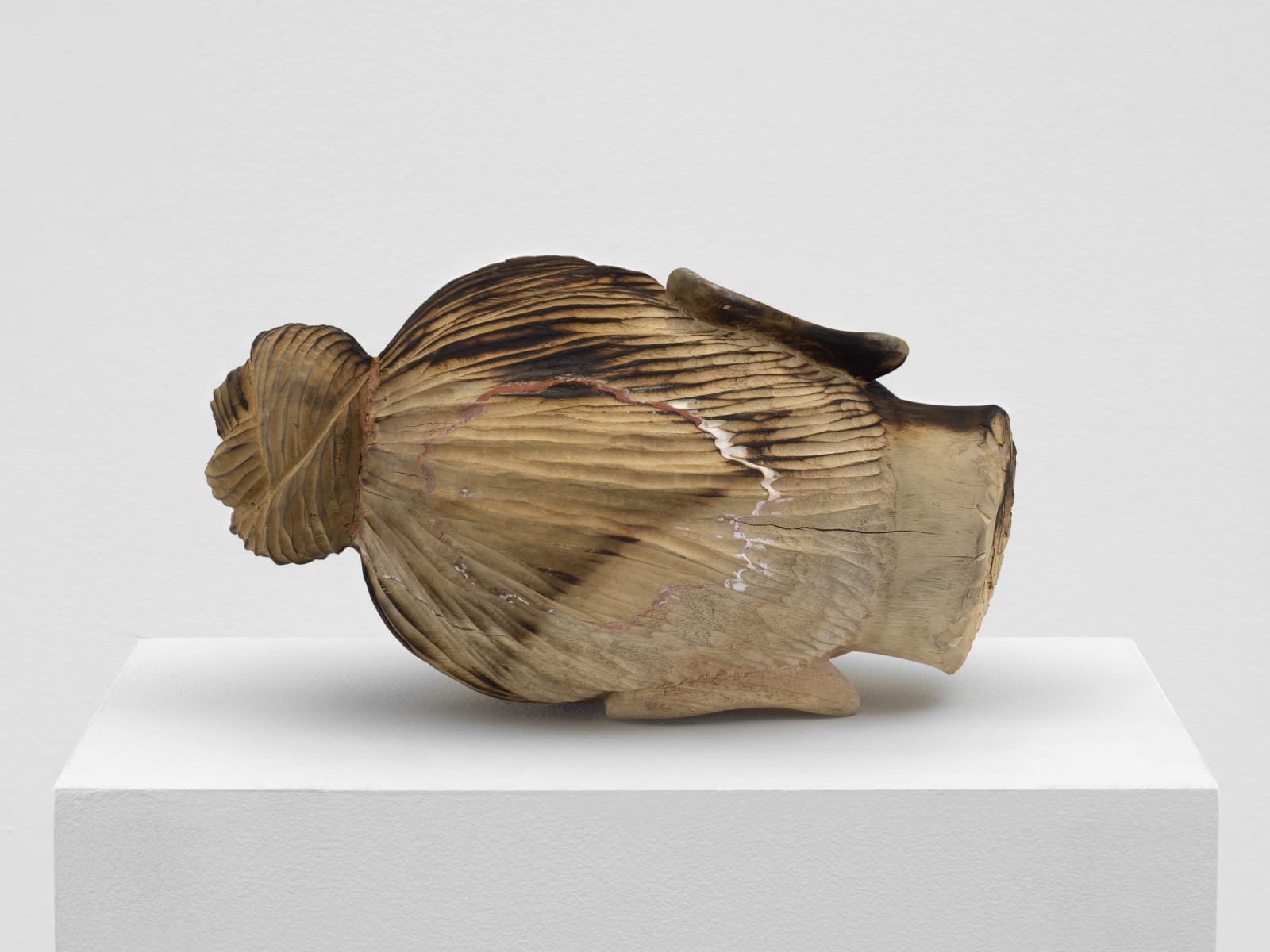 TUAN ANDREW NGUYEN, A Lotus In A Sea Of Fire, 2019