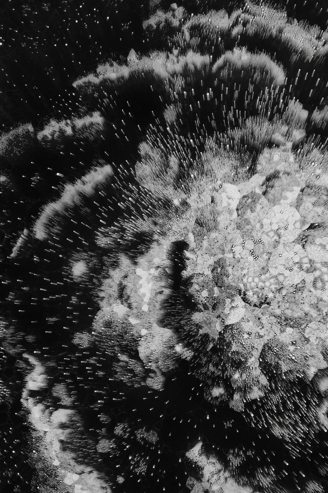 JOSIAH MCELHENY, Observation Night Two, 2019