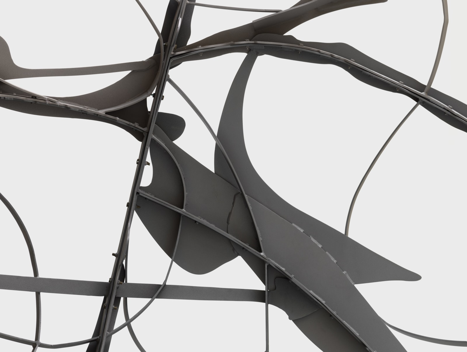 MATTHEW RITCHIE, Shadow Drawing, 2022