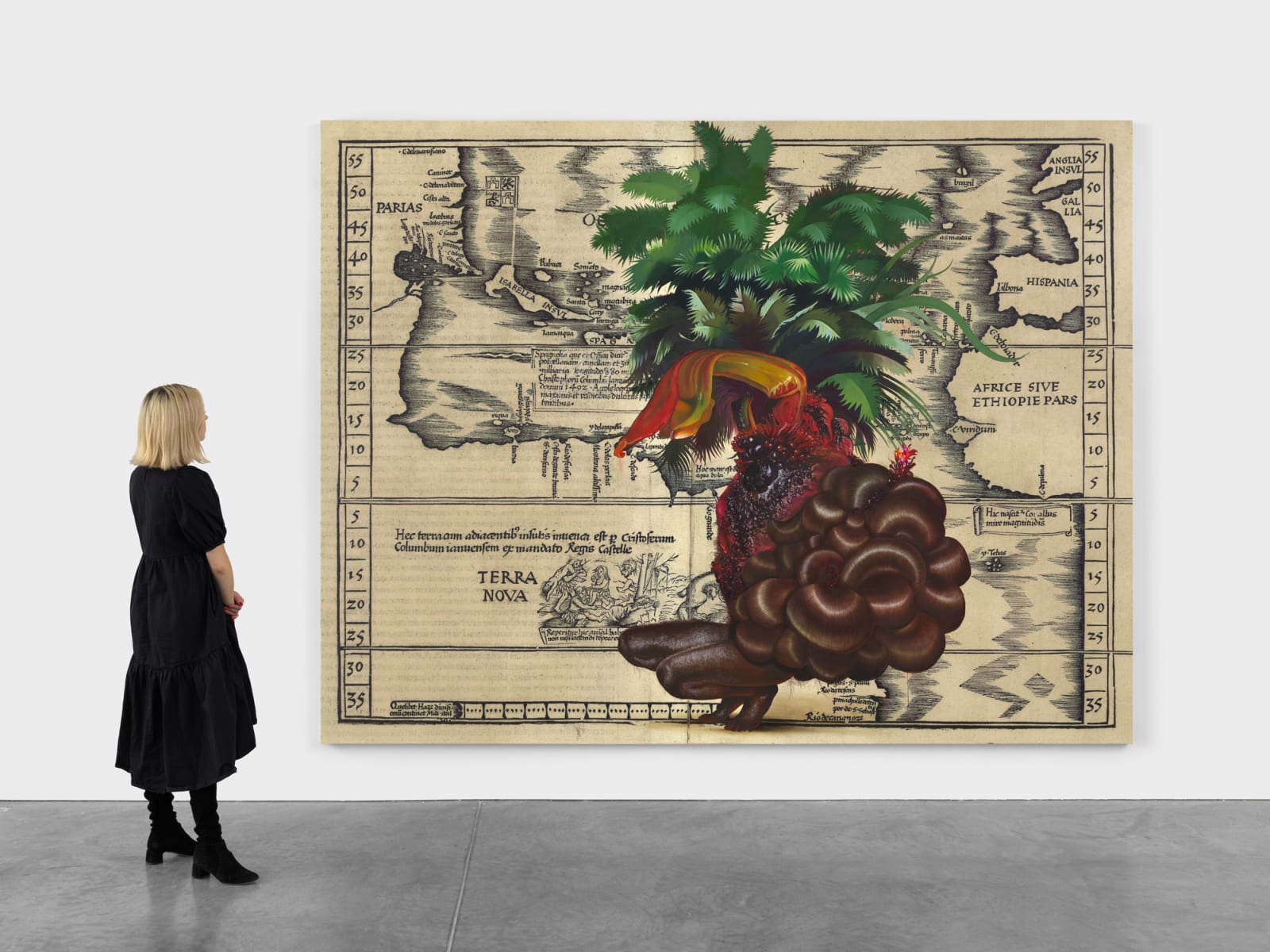 FIRELEI BÁEZ, Untitled (Terra Nova), 2020