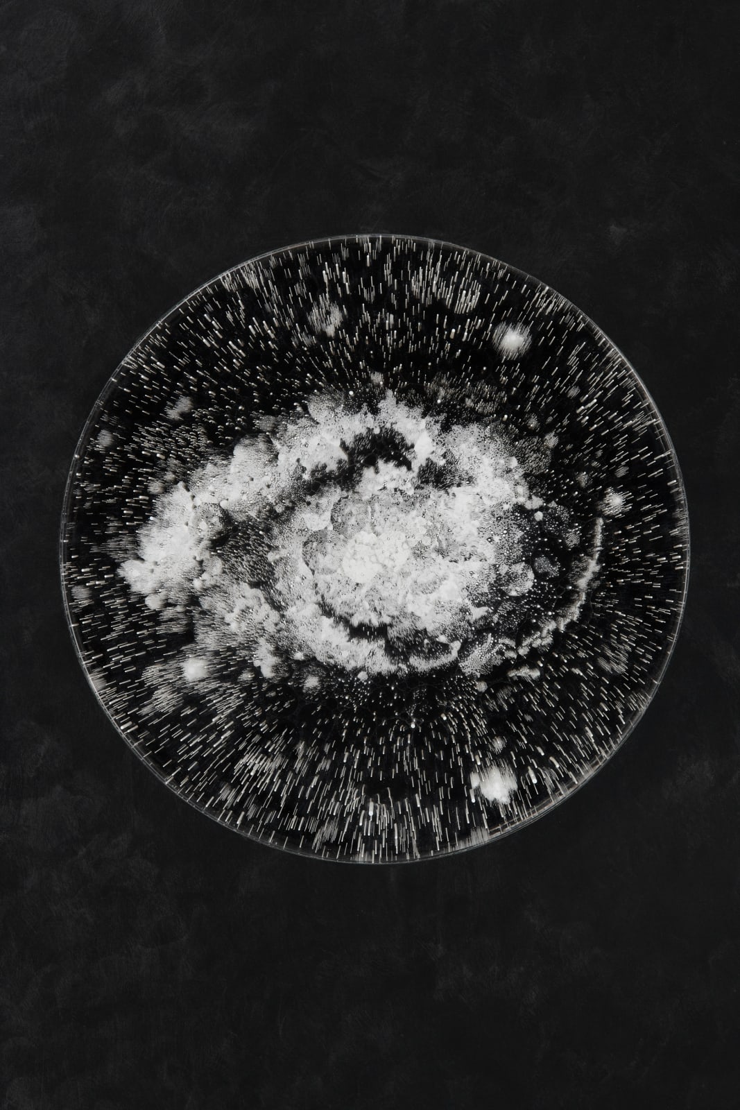JOSIAH MCELHENY, Seven Observations for June Tyson, 2019
