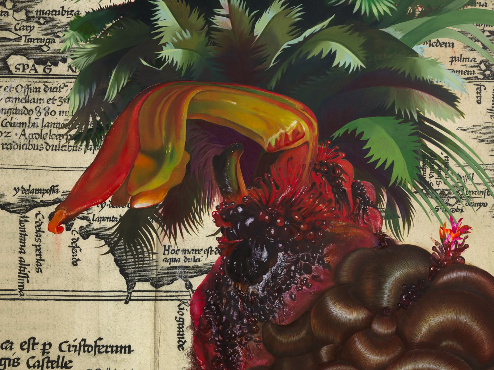 FIRELEI BÁEZ, Untitled (Terra Nova), 2020
