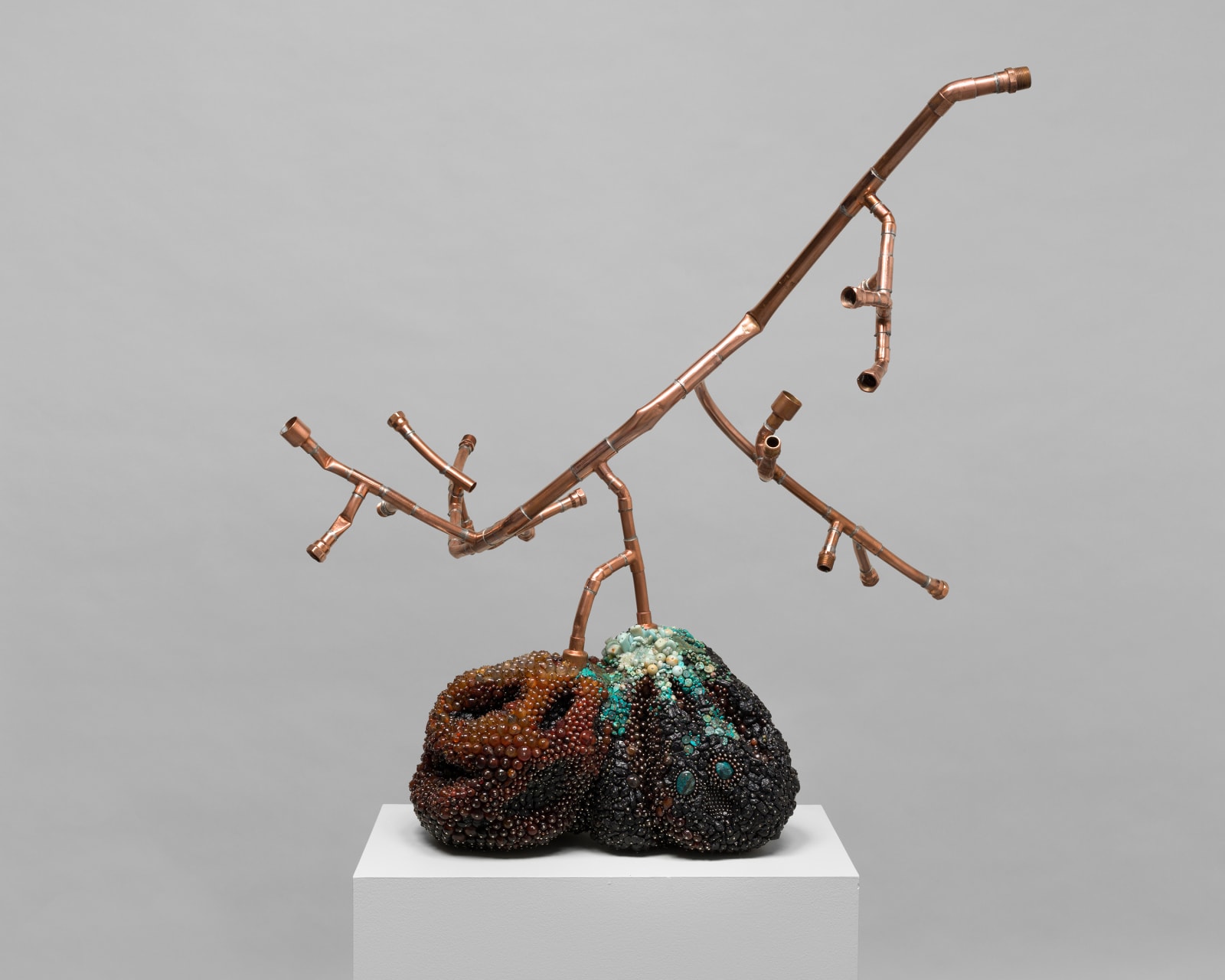 KATHLEEN RYAN, Bad Grapes (Desert Island), 2021