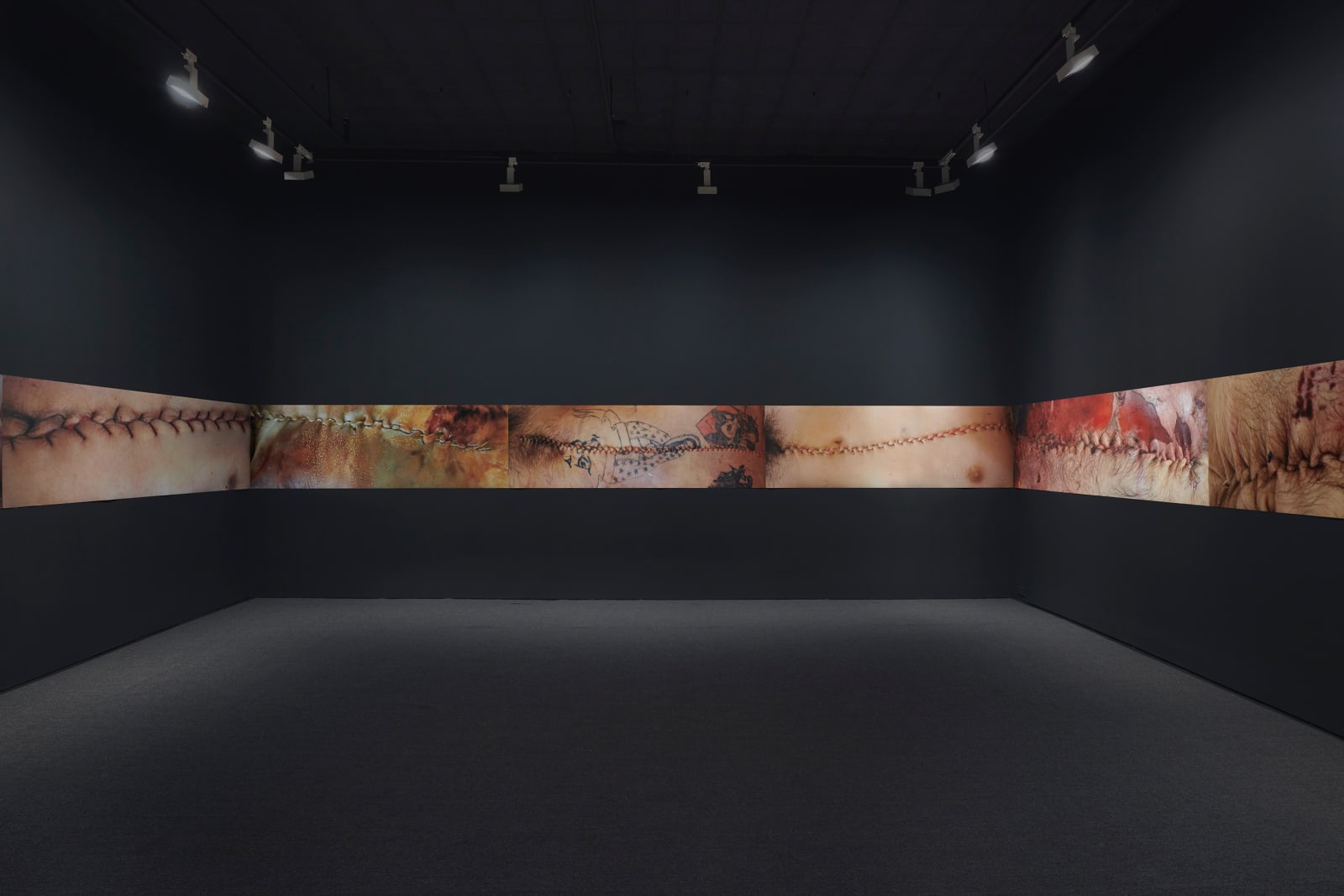 TERESA MARGOLLES, Línea Fronteriza, 2005 - ongoing