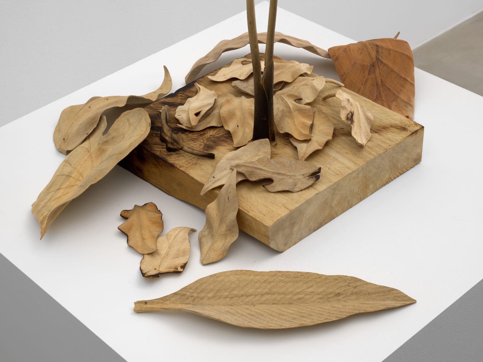 TUAN ANDREW NGUYEN, Not The Smell of Napalm, 2019