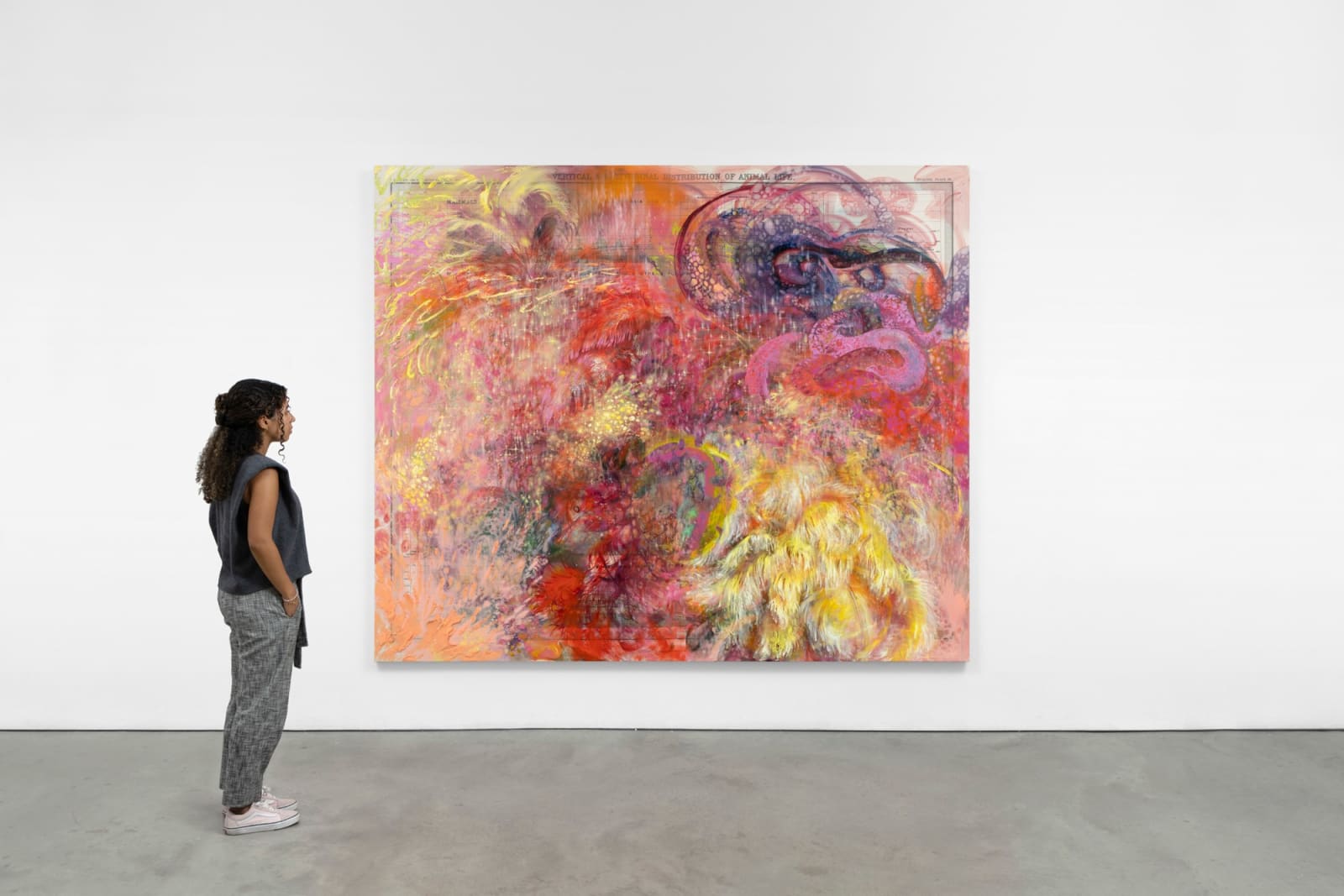 FIRELEI BÁEZ, Untitled (Plate 36. Vertical and Latitudinal Distribution of Animal Life), 2022