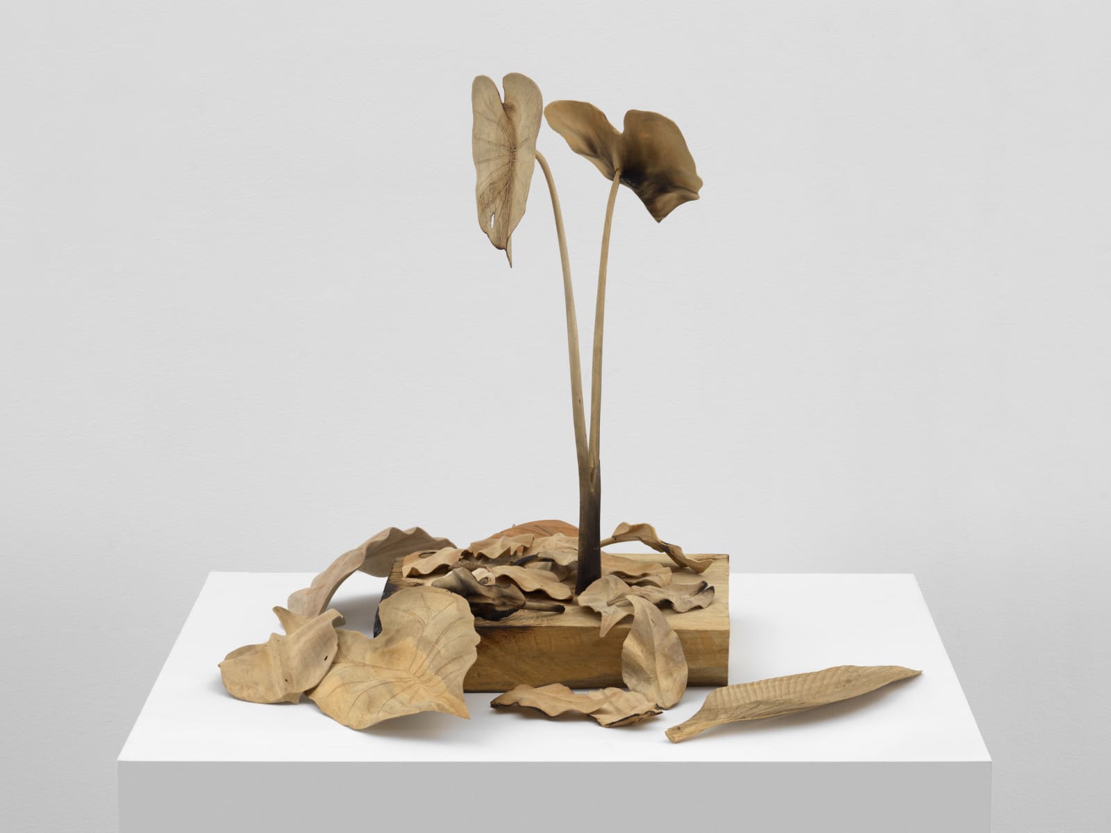 TUAN ANDREW NGUYEN, Not The Smell of Napalm, 2019