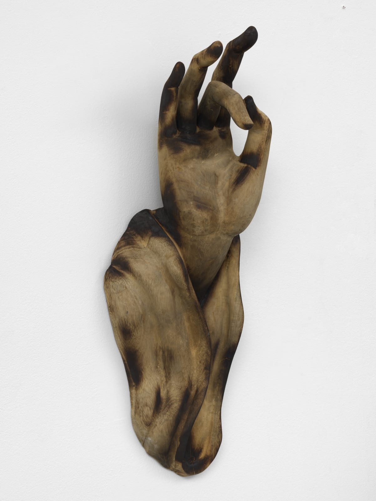 TUAN ANDREW NGUYEN, The Offering Of A Sentient Cry, 2019