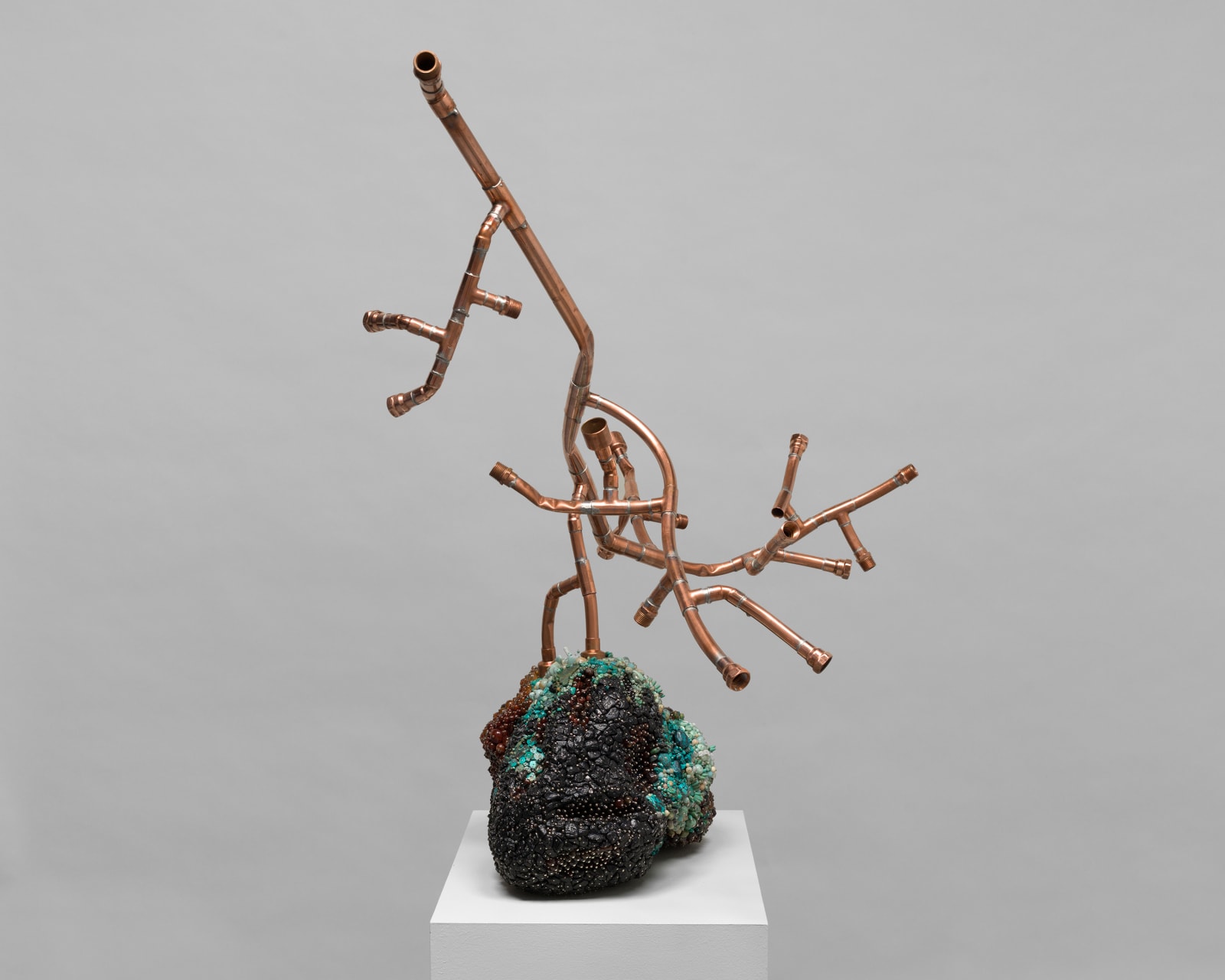 KATHLEEN RYAN, Bad Grapes (Desert Island), 2021