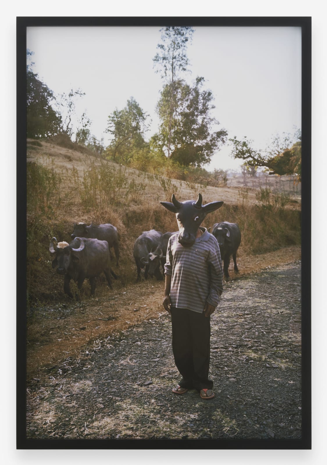 GAURI GILL, Untitled (62) from Acts of Appearance, 2015-ongoing