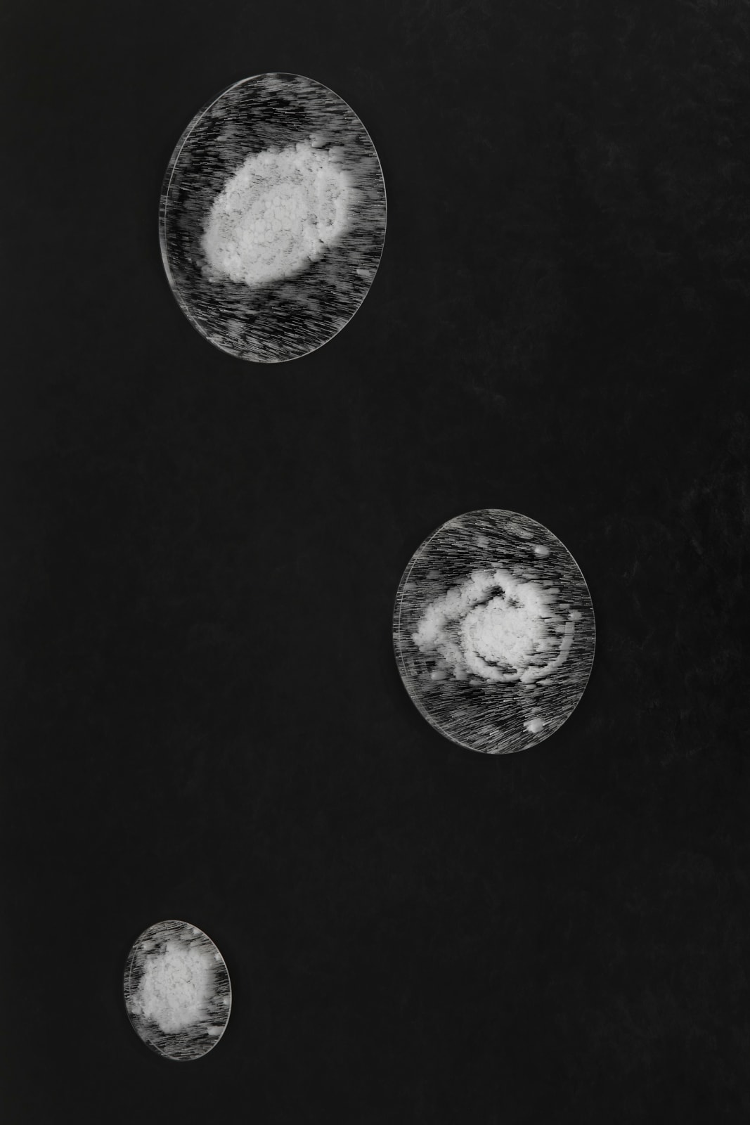 JOSIAH MCELHENY, Seven Observations for June Tyson, 2019