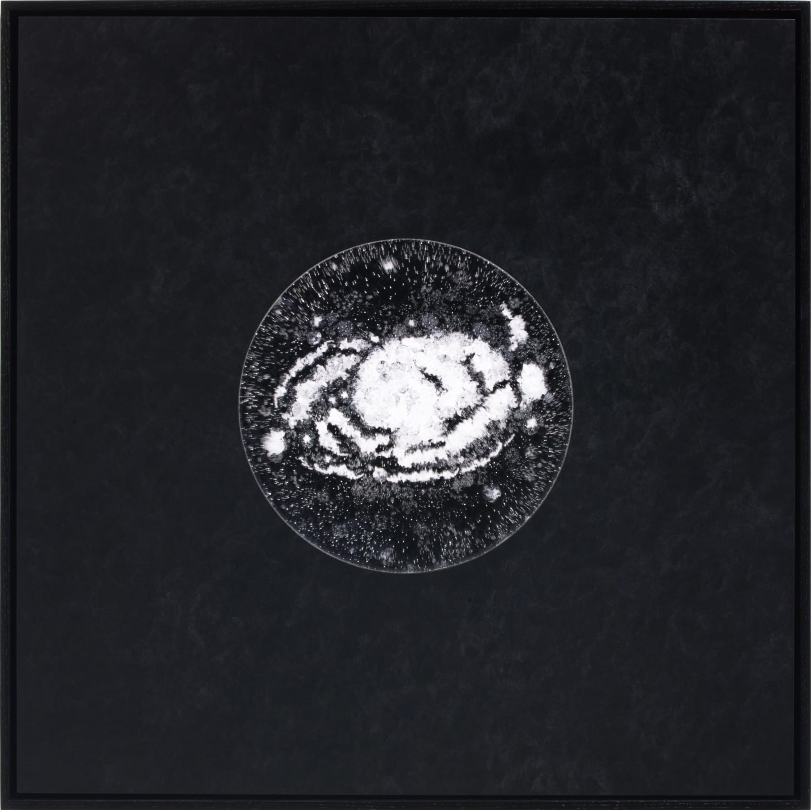 JOSIAH MCELHENY, Observation Night Six, 2019
