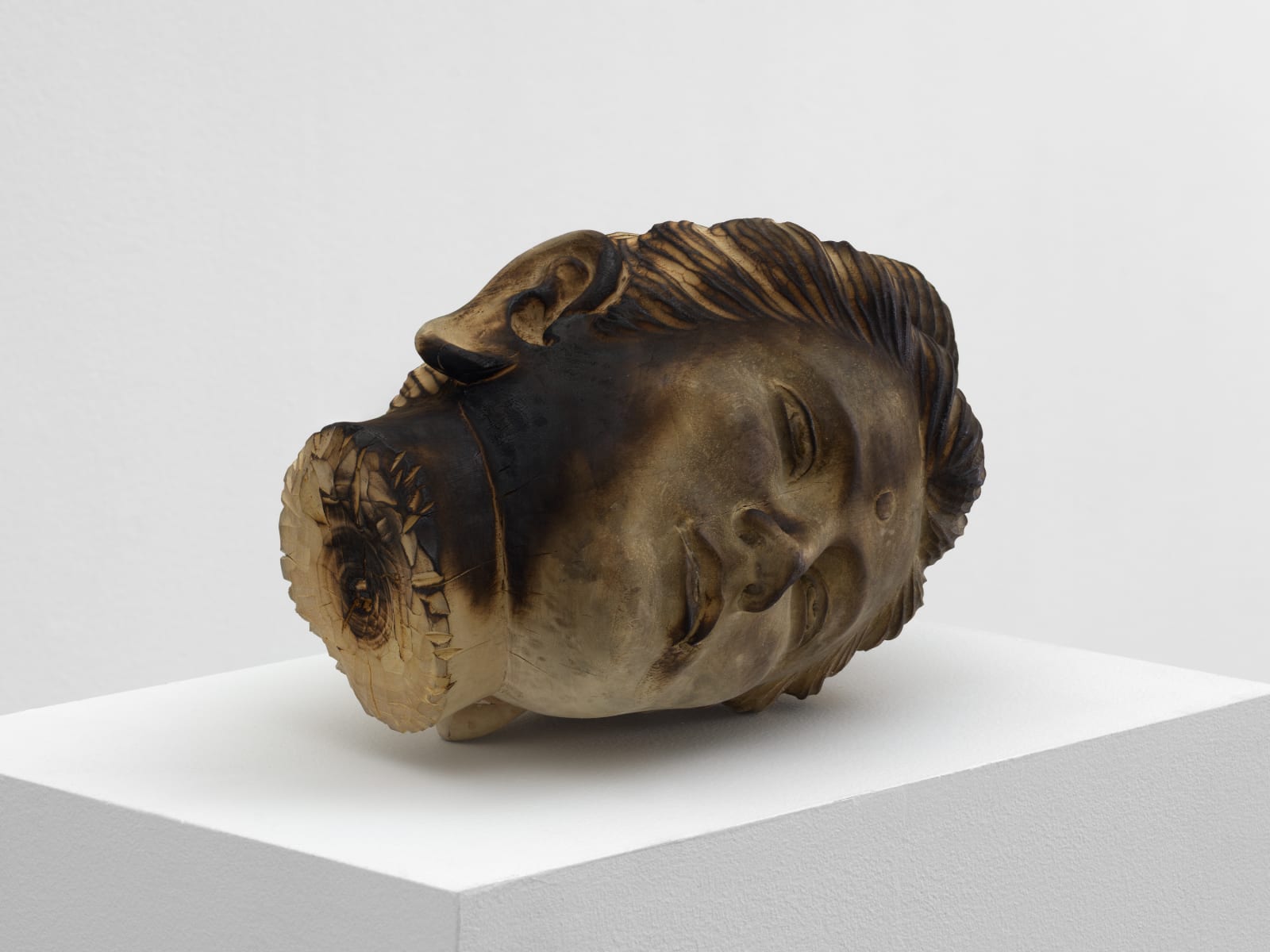 TUAN ANDREW NGUYEN, A Lotus In A Sea Of Fire, 2019