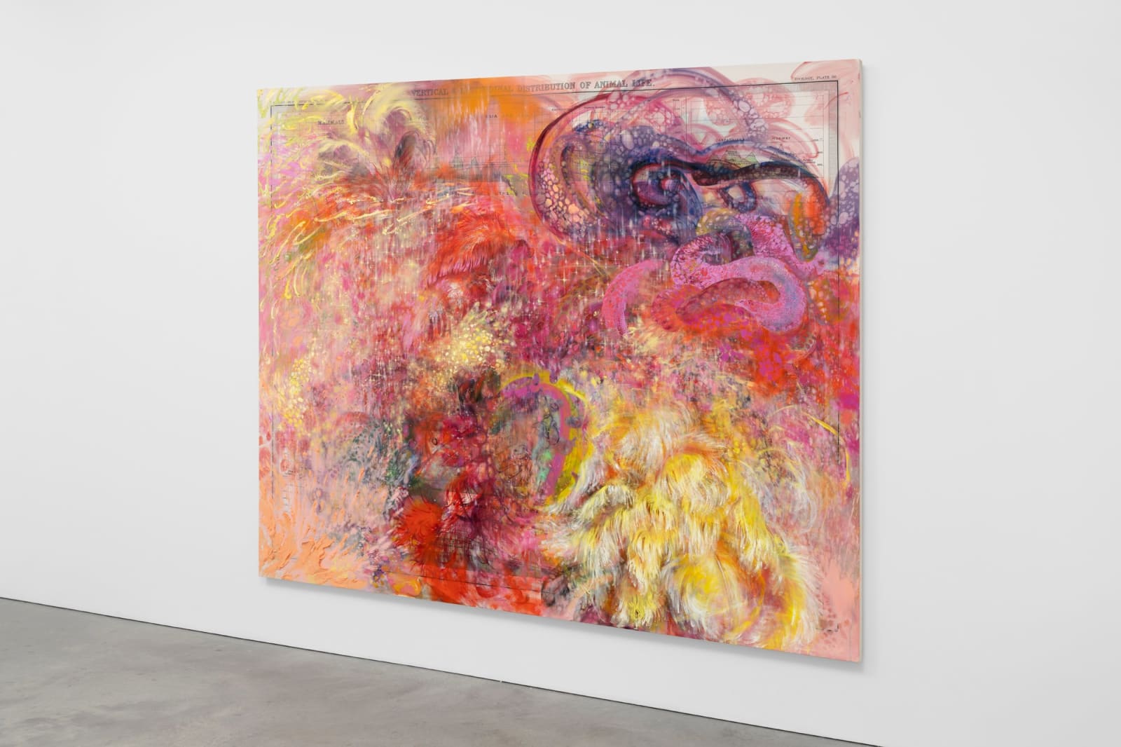 FIRELEI BÁEZ, Untitled (Plate 36. Vertical and Latitudinal Distribution of Animal Life), 2022