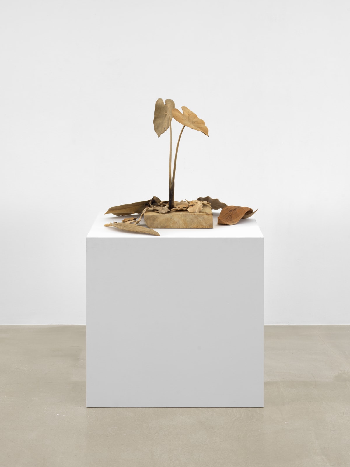 TUAN ANDREW NGUYEN, Not The Smell of Napalm, 2019