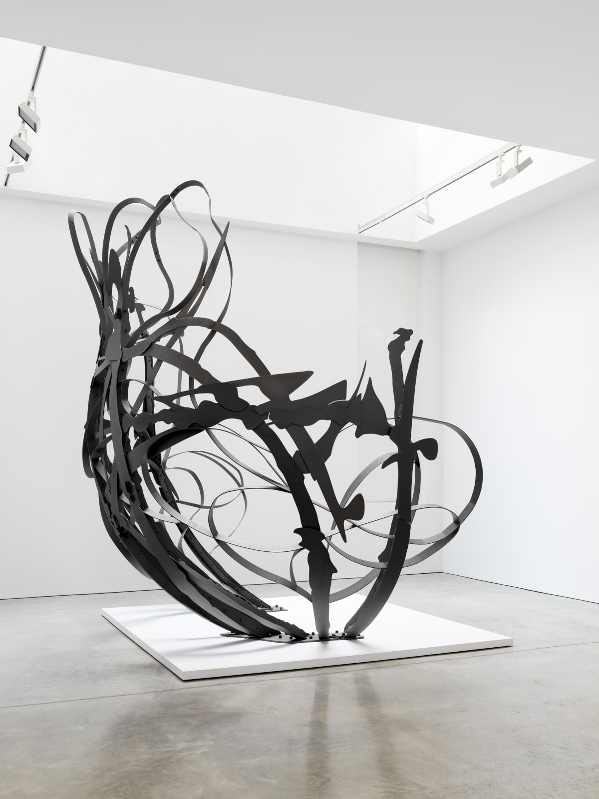 MATTHEW RITCHIE, Shadow Drawing, 2022